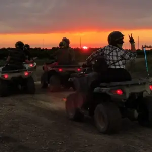 ATV Rentals & Guided Tours Miami: Official Booking Center at Bayside - Image 4