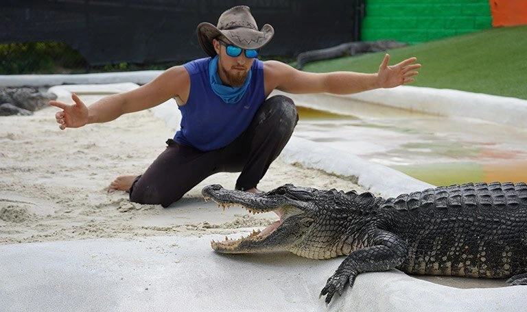 Everglades Tour: Official Booking Center at Bayside Marketplace - Image 5