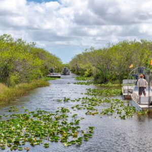 Everglades Tour: Official Booking Center at Bayside Marketplace - Image 4