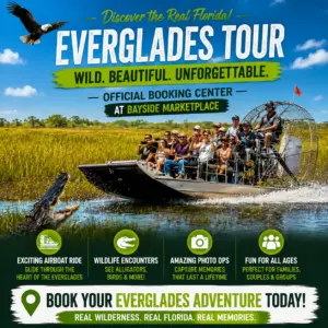 Everglades Tour: Official Booking Center at Bayside Marketplace