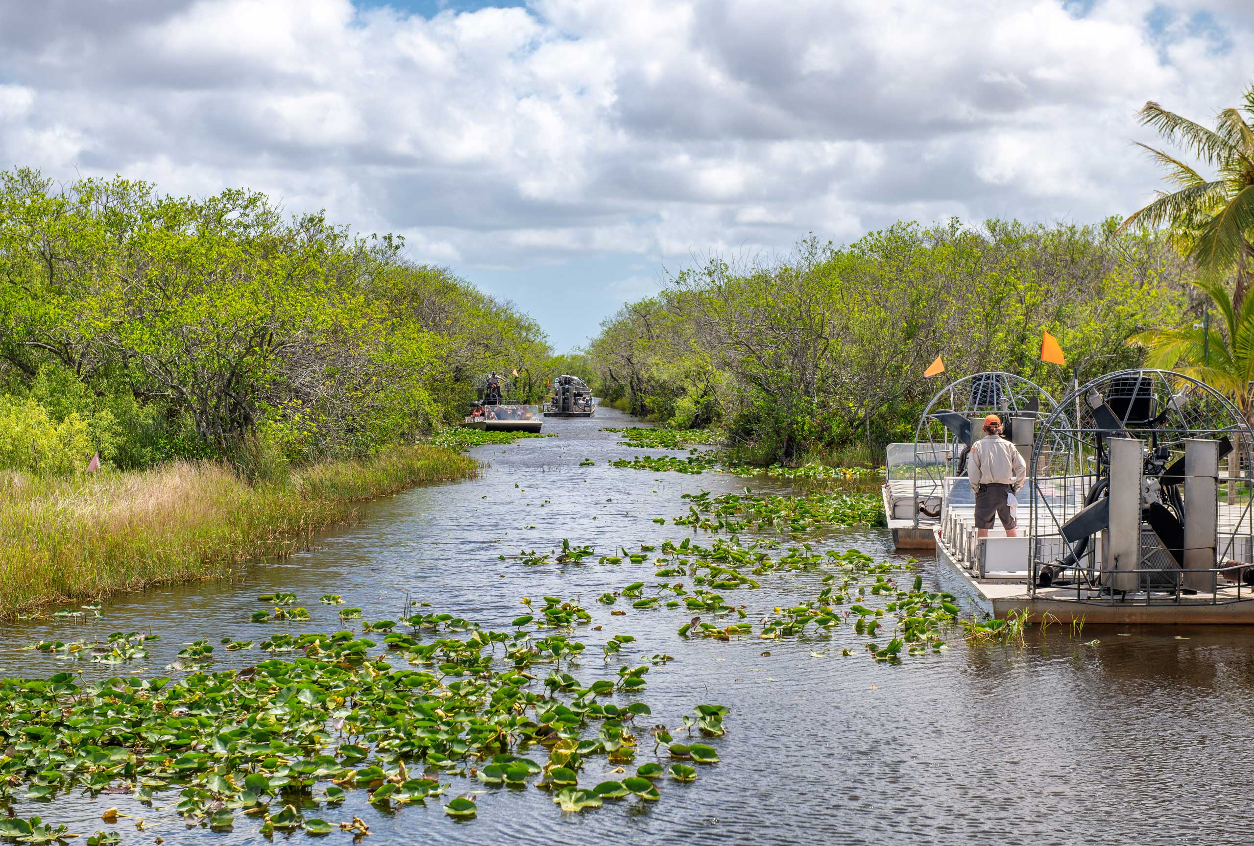Everglades Tour: Official Booking Center at Bayside Marketplace - Image 4