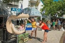 Key West Day Trip: Official Booking Center at Bayside Marketplace - Image 5