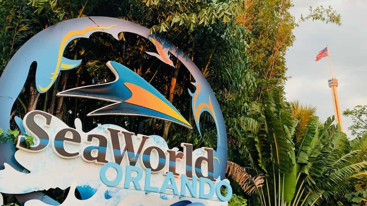 SeaWorld Orlando: Official Booking Center at Bayside Marketplace - Image 4