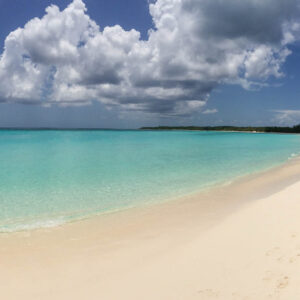One Day Trip to Bahamas (Bimini): Official Booking Center at Bayside - Image 2